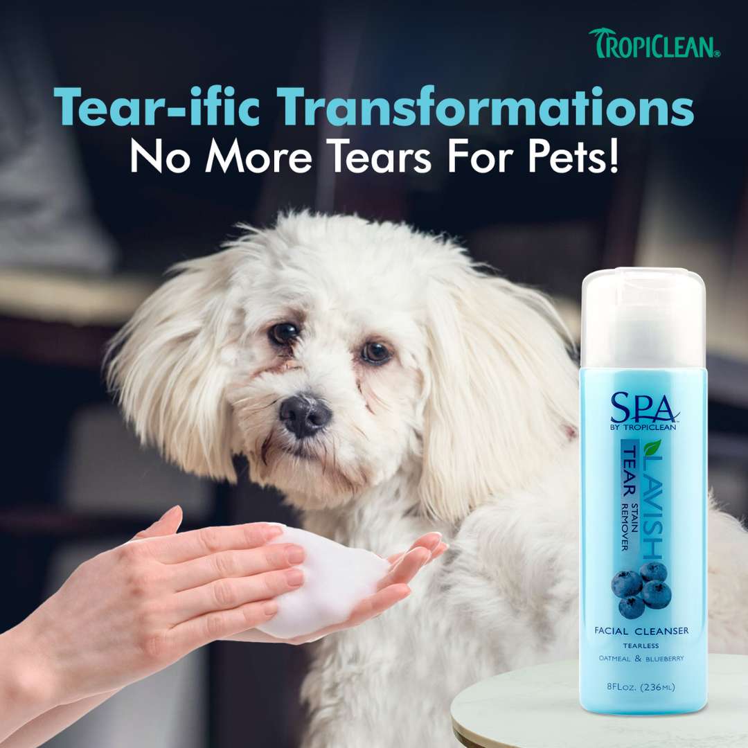 Tropiclean Soap Free SPA Tear Stain Remover for Pets (236 ML)