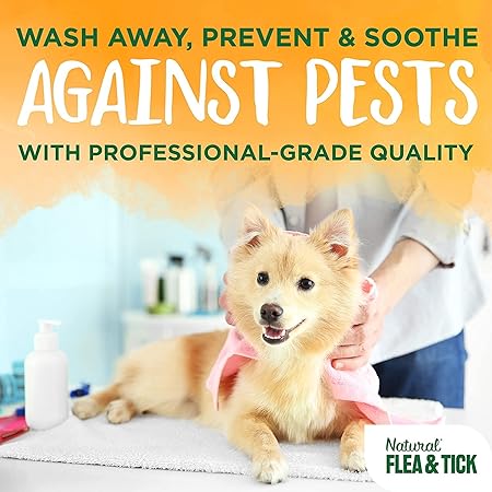 Natural dog shampoo, Flea and tick treatment, dog shampoo for flea and tick , Best dog shampoo in India , Shampoo and conditioners, Shampoo best for summer, Under 1000, Shampoo for adult dogs, coat care shampoo, shampoo and conditioners collections, Flea and tick shampoo at best price