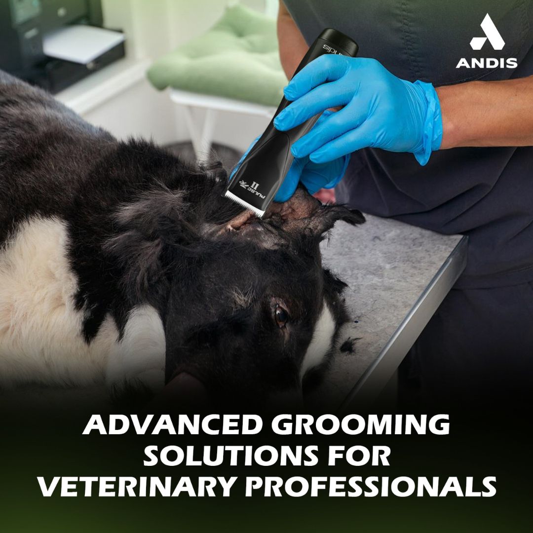 Andis PULSE ZR II VET PACK DBLC-2