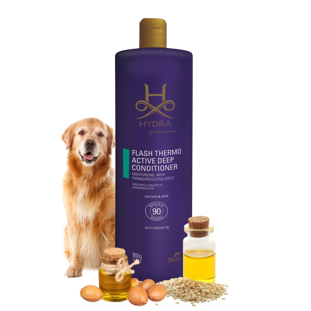 Conditioner, hair conditioner, best conditioner, top conditioner, buy conditioner, conditioner online, conditioner for sale, natural conditioner, organic conditioner, sulfate-free conditioner, moisturizing conditioner, detangling conditioner, volumizing conditioner, strengthening conditioner, color-safe conditioner, conditioner for oily hair, conditioner for dry hair, conditioner for fine hair, conditioner for thick hair, conditioner for damaged hair, anti-dandruff conditioner, itchy scalp conditioner