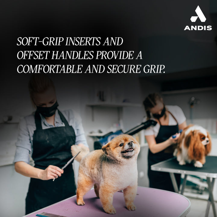 Andis Premium 8" Curved Shear For Professional Pet Groomer - Right Handed