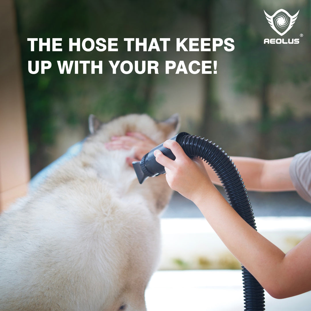 aeolus pet grooming dryer, best pet grooming dryer, aeolus pet dryer, pet dryer aeolus, professional pet dryer, high velocity pet dryer, forced air pet dryer, pet grooming dryer for all breeds, pet grooming dryer for all sizes, pet grooming dryer for all coat types, pet grooming dryer for all skin conditions, pet grooming dryer for puppies, pet grooming dryer for seniors, pet grooming dryer for long hair, pet grooming dryer for short hair, pet grooming dryer for curly hair, pet grooming dryer for straight h