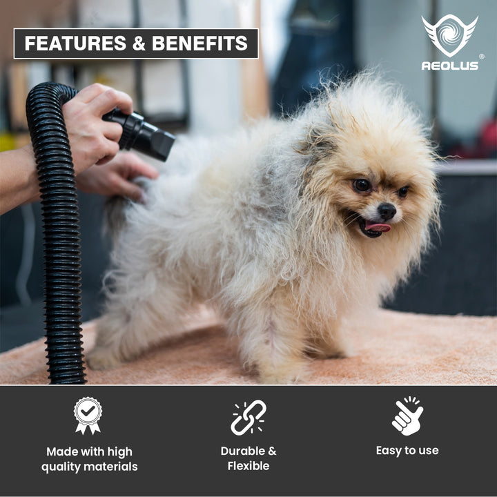 pet grooming dryer for tangled hair, pet grooming dryer for color retention, pet grooming dryer for shine, pet grooming dryer for softness, pet grooming dryer for volume, pet grooming dryer for hydration, pet grooming dryer for nourishment, pet grooming dryer for gentle drying, pet grooming dryer for deep conditioning, pet grooming dryer for detangling, pet grooming dryer for hypoallergenic, pet grooming dryer for natural ingredients, pet grooming dryer for affordable, pet grooming dryer for professional us