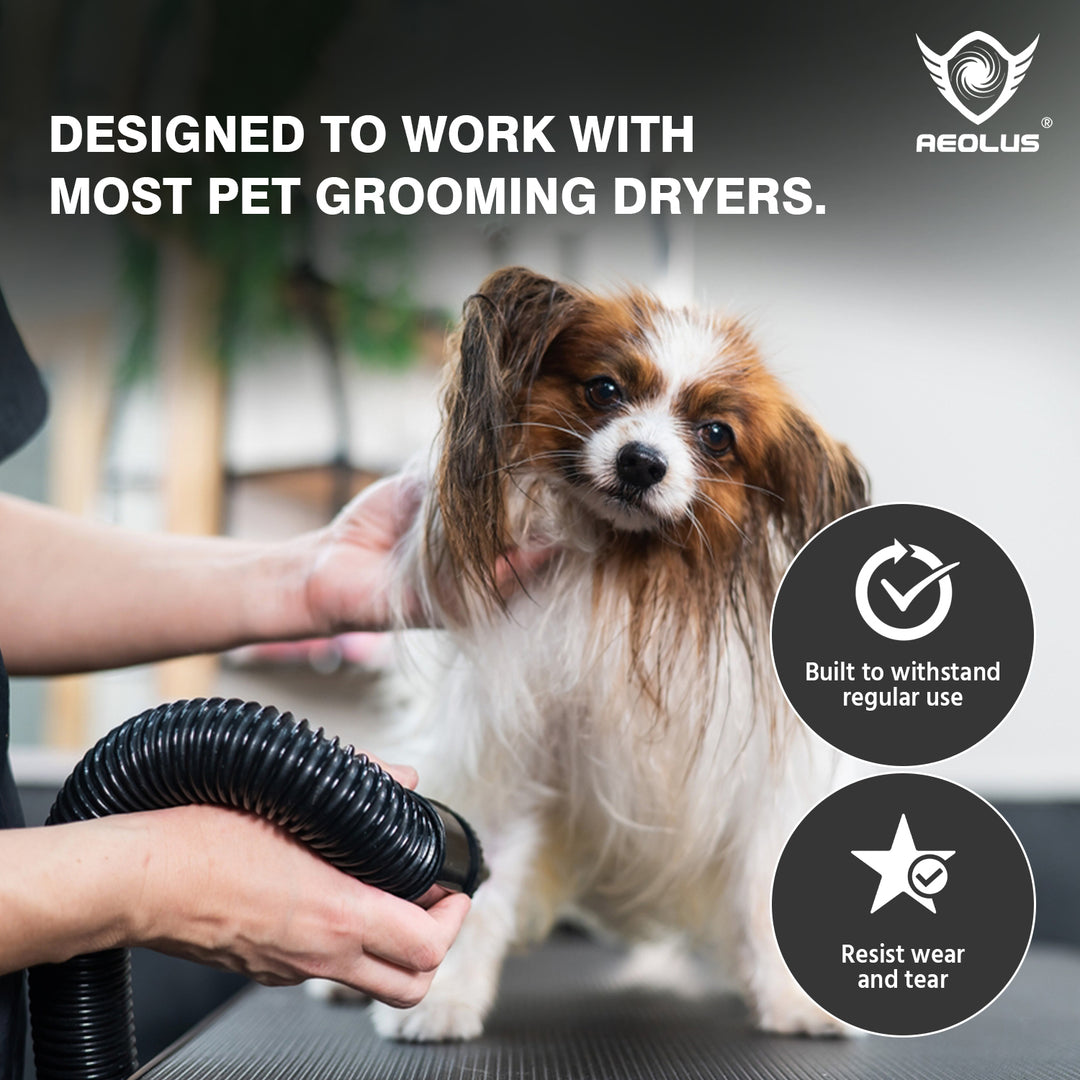 best pet hair dryers, top pet hair dryers, professional pet hair dryers, high velocity pet hair dryers, forced air pet hair dryers, quiet pet hair dryers, lightweight pet hair dryers, portable pet hair dryers, home pet hair dryers, grooming salon pet hair dryers, pet hair dryer for dogs, pet hair dryer for cats, pet hair dryer for puppies, pet hair dryer for kittens, pet hair dryer for small dogs, pet hair dryer for large dogs, pet hair dryer for long hair, pet hair dryer for short hair, pet hair dryer for