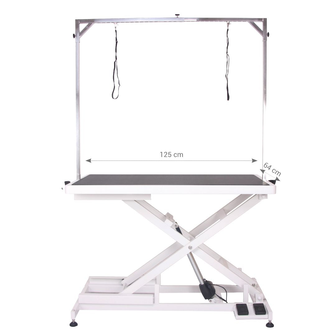 Aeolus Magna X Electric Lifting Pet Grooming Table (White)
