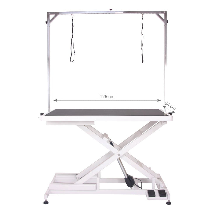 Aeolus Magna X Electric Lifting Pet Grooming Table (White)
