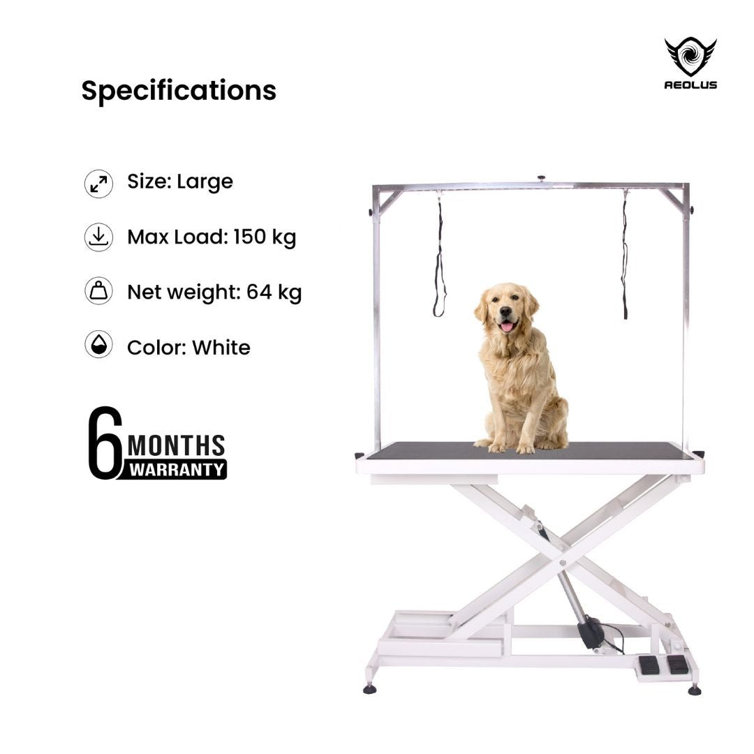 Aeolus Magna X Electric Lifting Pet Grooming Table (White)
