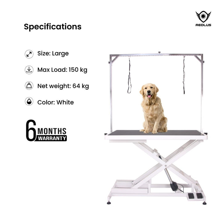 Aeolus Magna X Electric Lifting Pet Grooming Table (White)