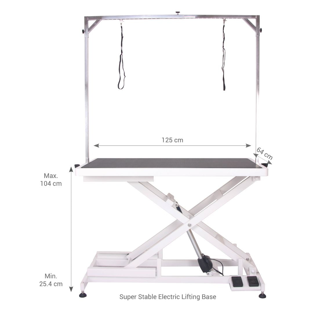 Aeolus Magna X Electric Lifting Pet Grooming Table (White)