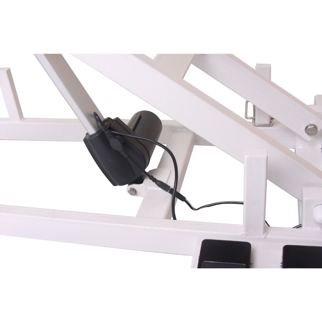 Aeolus Magna X Electric Lifting Pet Grooming Table (White)