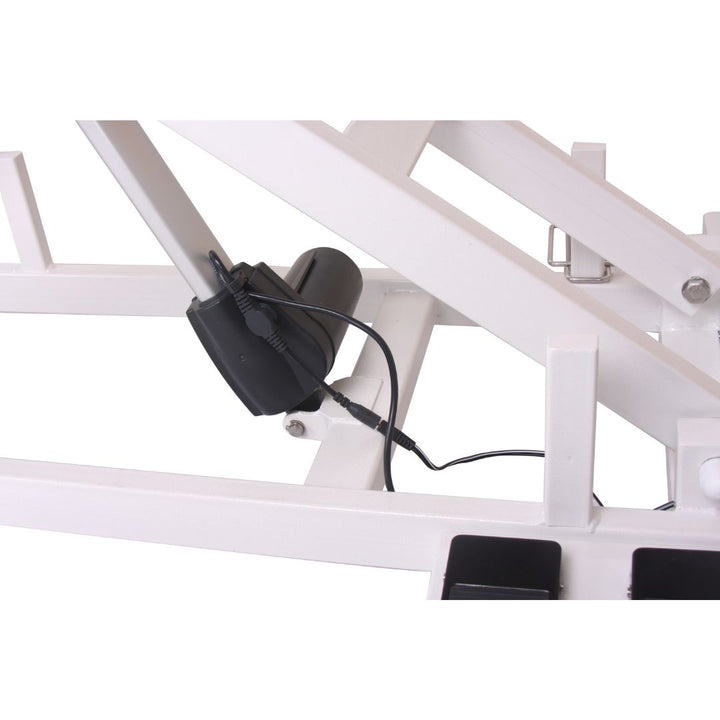 Aeolus Magna X Electric Lifting Pet Grooming Table (White)