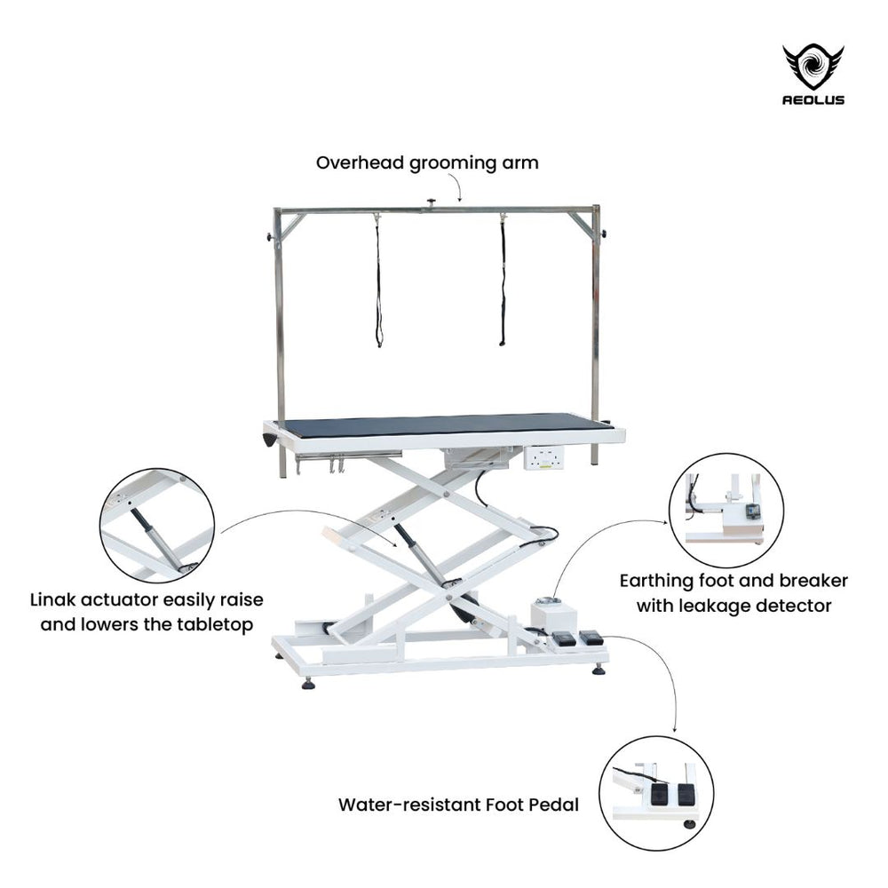 dog grooming table big w, dog grooming table chewy, dog grooming table with lights, mobile pet grooming table, used dog grooming table near me, large dog grooming table nearby, dog grooming table in store, dog grooming table dryer, pet stroller with grooming table uk, dog grooming table with hammock, dog grooming table towel, dog grooming table backdrop, dog grooming table bar, dog grooming table uk argos, dog grooming table low, dog grooming table temu, pet grooming table top, pet grooming table price, pet