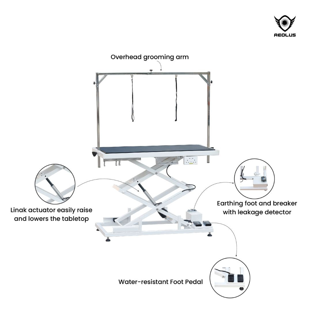 dog grooming table big w, dog grooming table chewy, dog grooming table with lights, mobile pet grooming table, used dog grooming table near me, large dog grooming table nearby, dog grooming table in store, dog grooming table dryer, pet stroller with grooming table uk, dog grooming table with hammock, dog grooming table towel, dog grooming table backdrop, dog grooming table bar, dog grooming table uk argos, dog grooming table low, dog grooming table temu, pet grooming table top, pet grooming table price, pet