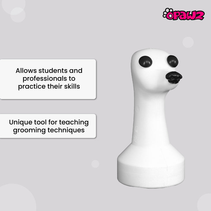 The Model Dog Educational Dog is a unique tool