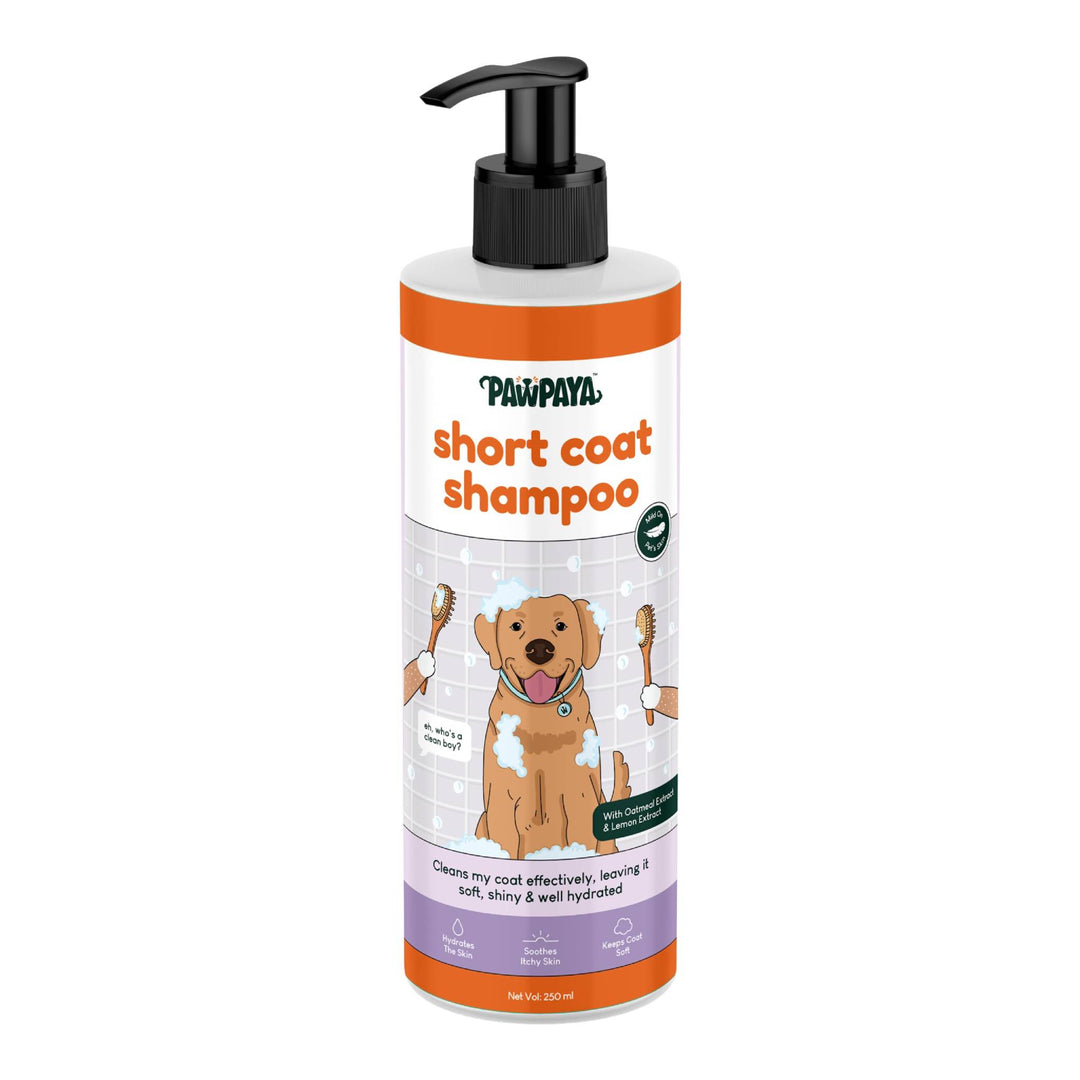 pet shampoo online, pet shampoo for sale, natural pet shampoo, organic pet shampoo, hypoallergenic pet shampoo, flea and tick shampoo for pets, medicated pet shampoo, puppy shampoo, kitten shampoo, sensitive skin pet shampoo, deodorizing pet shampoo, moisturizing pet shampoo, whitening pet shampoo for pets, brightening pet shampoo, oatmeal pet shampoo, tear-free pet shampoo, waterless pet shampoo for pets, dry pet shampoo, long hair pet shampoo, short hair pet shampoo, thick coat pet shampoo, thin coat pet