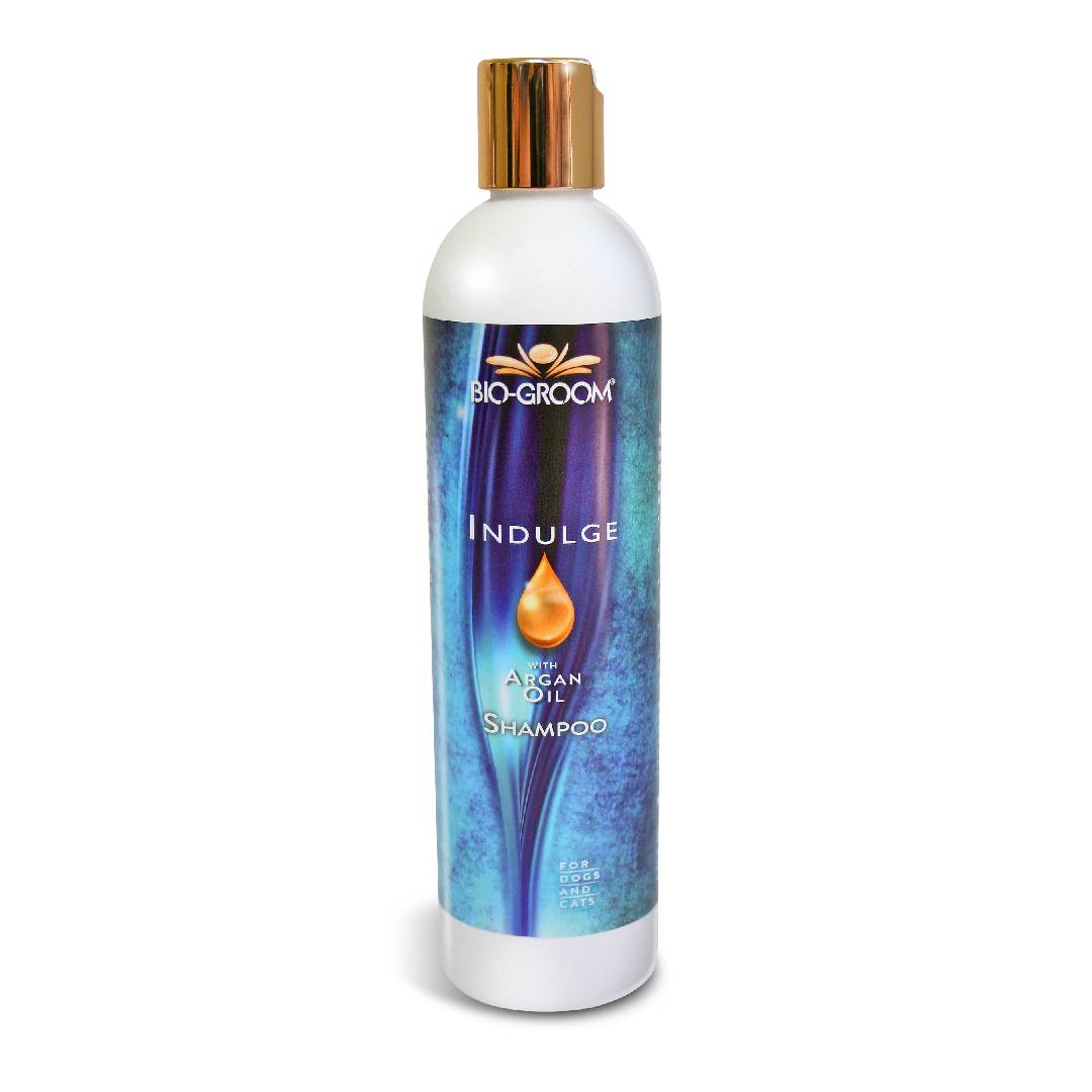 IGroom Argan & Vitamin E Shampoo Für Hunde – 3,8 Liter, Sanft & Feuchtigkeitsspendend