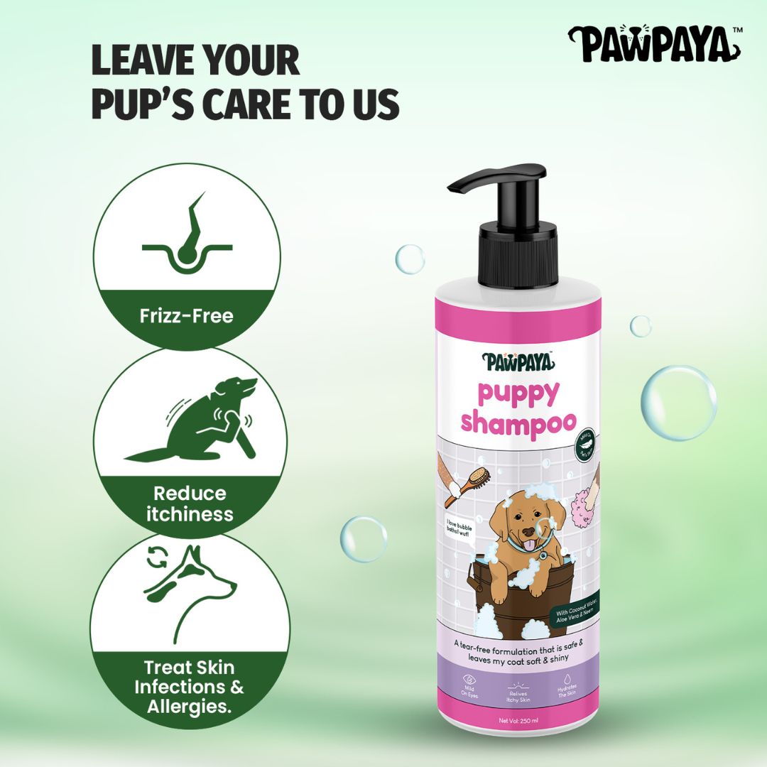 cheap pet shampoo, discount pet shampoo, scented pet shampoo, unscented pet shampoo, pet bath products, pet grooming supplies, animal shampoo, canine shampoo, feline shampoo, small animal grooming, bird bath cleaner, Shampoo, hair shampoo, best shampoo, top shampoo, buy shampoo, shampoo online, shampoo for sale, natural shampoo, organic shampoo, sulfate-free shampoo, moisturizing shampoo, clarifying shampoo, volumizing shampoo, strengthening shampoo, color-safe shampoo