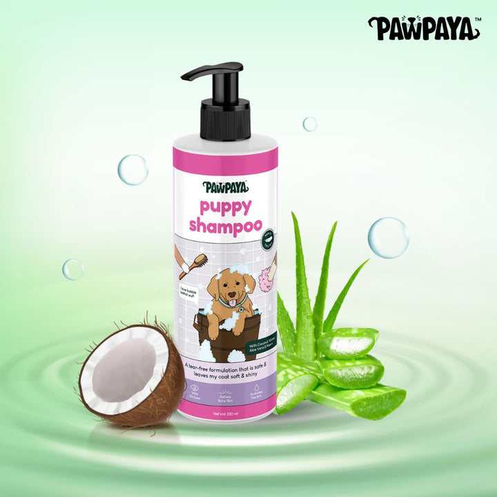 whitening pet shampoo for pets, brightening pet shampoo, oatmeal pet shampoo, tear-free pet shampoo, waterless pet shampoo for pets, dry pet shampoo, long hair pet shampoo, short hair pet shampoo, thick coat pet shampoo, thin coat pet shampoo, shedding control pet shampoo, anti-itch pet shampoo, hot spot shampoo for pets, conditioning pet shampoo, gentle pet shampoo, vet recommended pet shampoo, grooming shampoo for pets, professional pet shampoo
