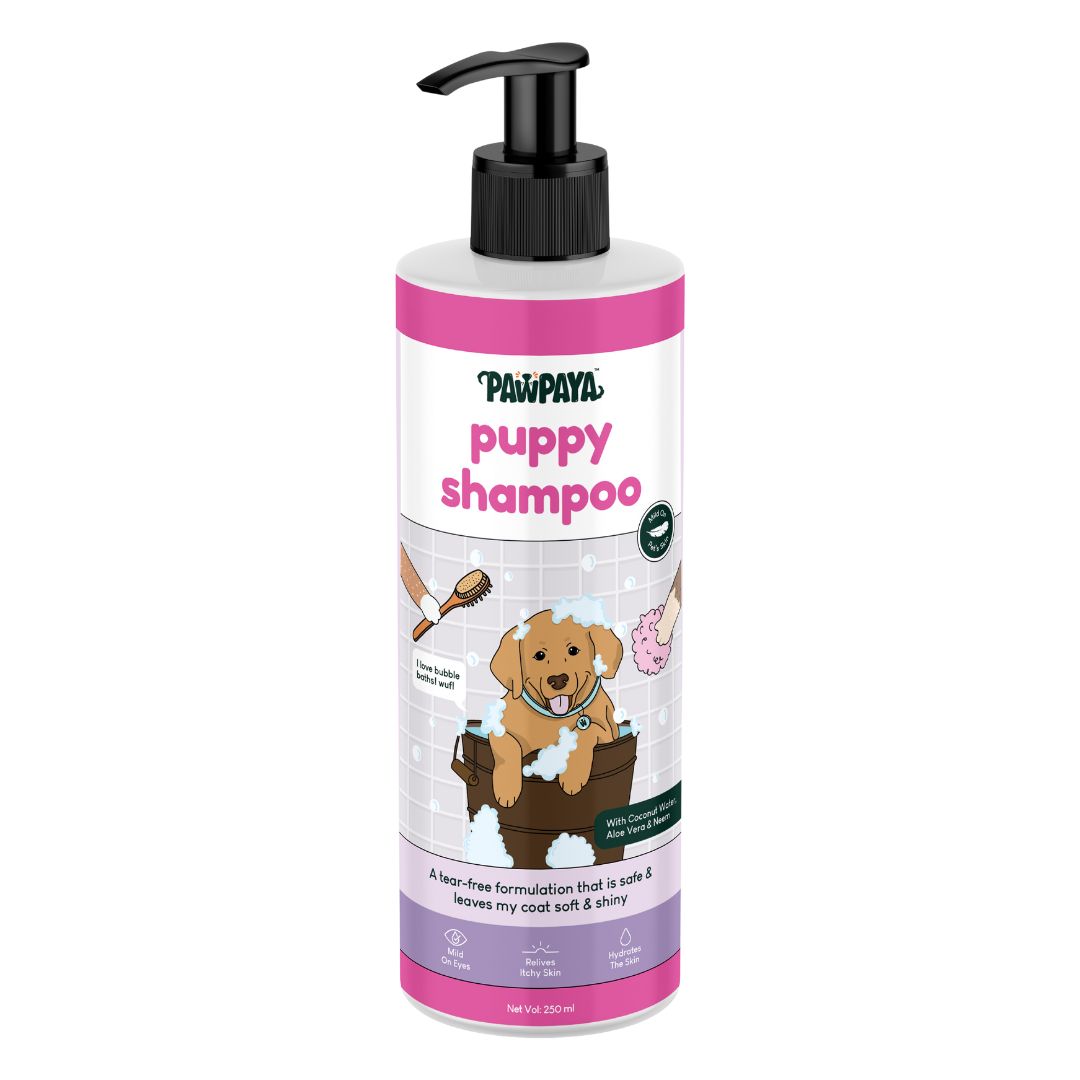 puppy shampoo, kitten shampoo, sensitive skin pet shampoo, deodorizing pet shampoo, moisturizing pet shampoo, whitening pet shampoo for pets, brightening pet shampoo, oatmeal pet shampoo, tear-free pet shampoo, waterless pet shampoo for pets, dry pet shampoo, long hair pet shampoo, short hair pet shampoo, thick coat pet shampoo, thin coat pet shampoo, shedding control pet shampoo, anti-itch pet shampoo, hot spot shampoo for pets, conditioning pet shampoo
