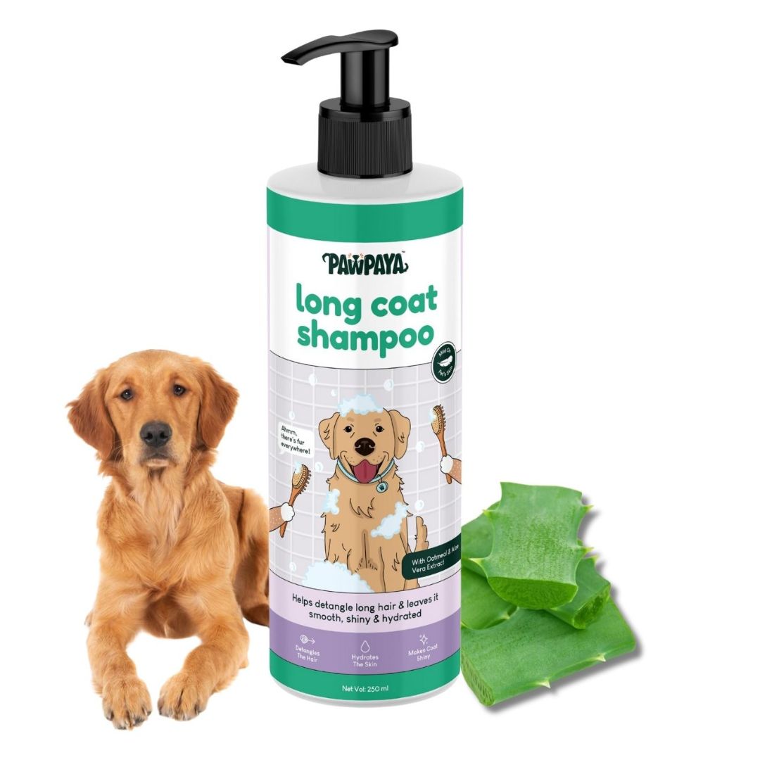 long hair pet shampoo, short hair pet shampoo, thick coat pet shampoo, thin coat pet shampoo, shedding control pet shampoo, anti-itch pet shampoo, hot spot shampoo for pets, conditioning pet shampoo, gentle pet shampoo, vet recommended pet shampoo, grooming shampoo for pets, professional pet shampoo, cheap pet shampoo, discount pet shampoo, scented pet shampoo, unscented pet shampoo, pet bath products, pet grooming supplies, animal shampoo, canine shampoo, feline shampoo, small animal grooming