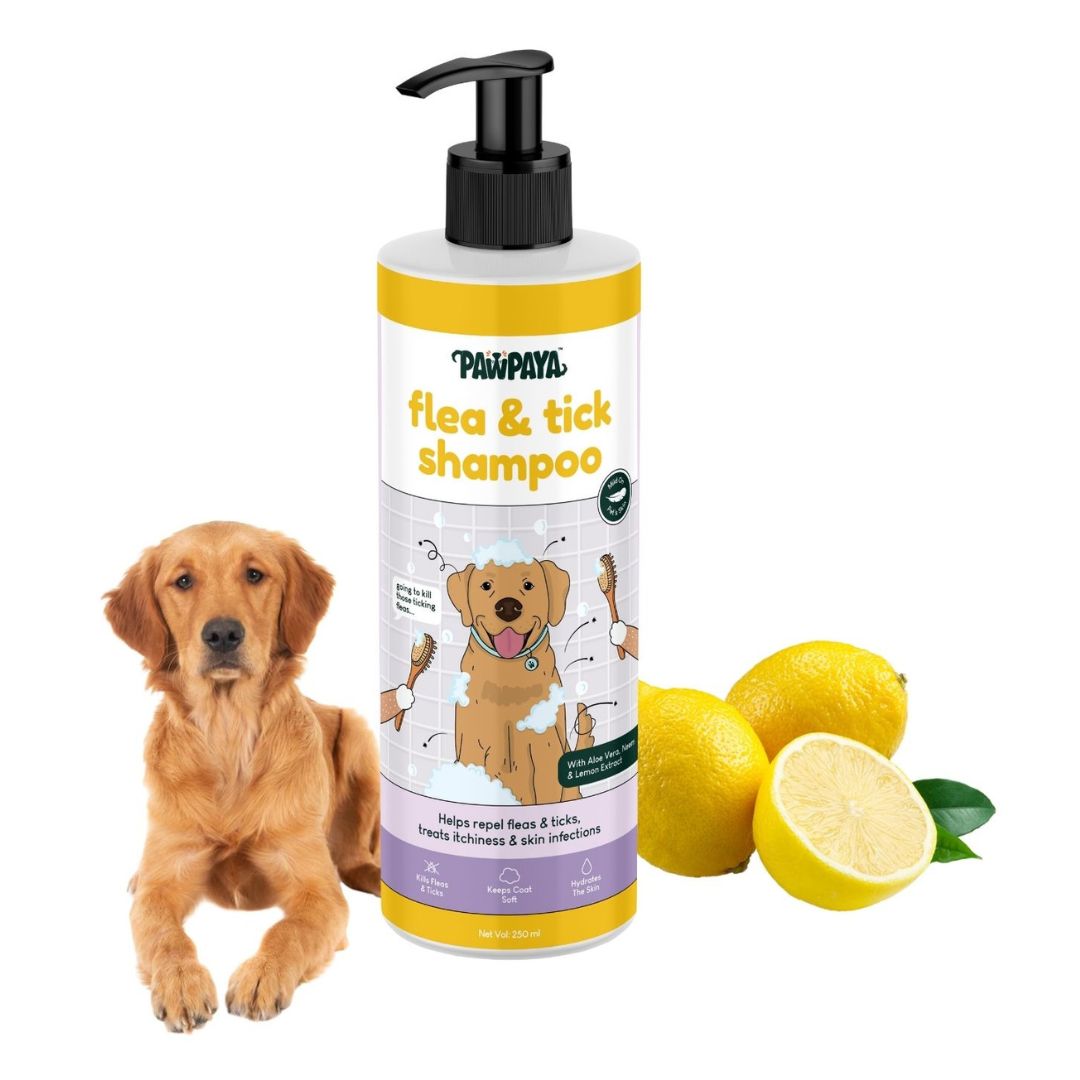brightening shampoo, odor eliminating shampoo, waterless shampoo, dry shampoo, shampoo bar, pet shampoo, dog shampoo, cat shampoo, small animal shampoo, bird shampoo, best pet shampoo, top pet shampoo, buy pet shampoo, pet shampoo online, pet shampoo for sale, natural pet shampoo, organic pet shampoo, hypoallergenic pet shampoo, flea and tick shampoo for pets, medicated pet shampoo, puppy shampoo, kitten shampoo, sensitive skin pet shampoo, deodorizing pet shampoo, moisturizing pet shampoo