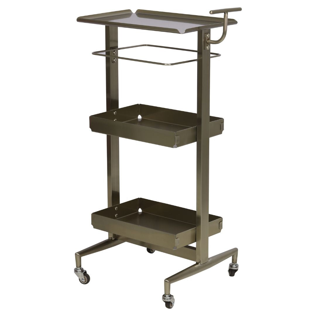 Aeolus Stainless Steel Tools Cart to Organize Grooming Products