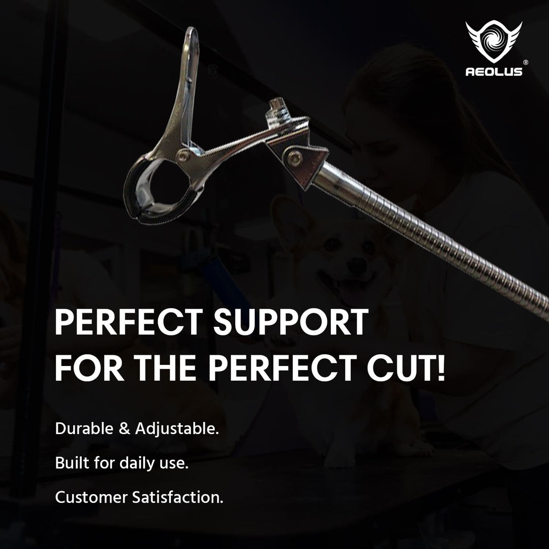 grooming drying table, grooming dog table for sale, grooming table with drawers, grooming table for giant breed, grooming table height, grooming table hammock, grooming table hs code, grooming table hydraulic replacement, kiss grooming table, grooming table loops, grooming table led, grooming table mat canada, grooming table motor, grooming table mobile, grooming table naples, grooming table nz, grooming table on sale, grooming table pad, grooming table pink, groom professional table, grooming table repair