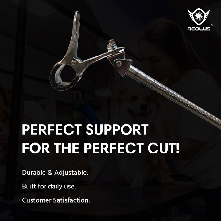 grooming drying table, grooming dog table for sale, grooming table with drawers, grooming table for giant breed, grooming table height, grooming table hammock, grooming table hs code, grooming table hydraulic replacement, kiss grooming table, grooming table loops, grooming table led, grooming table mat canada, grooming table motor, grooming table mobile, grooming table naples, grooming table nz, grooming table on sale, grooming table pad, grooming table pink, groom professional table, grooming table repair