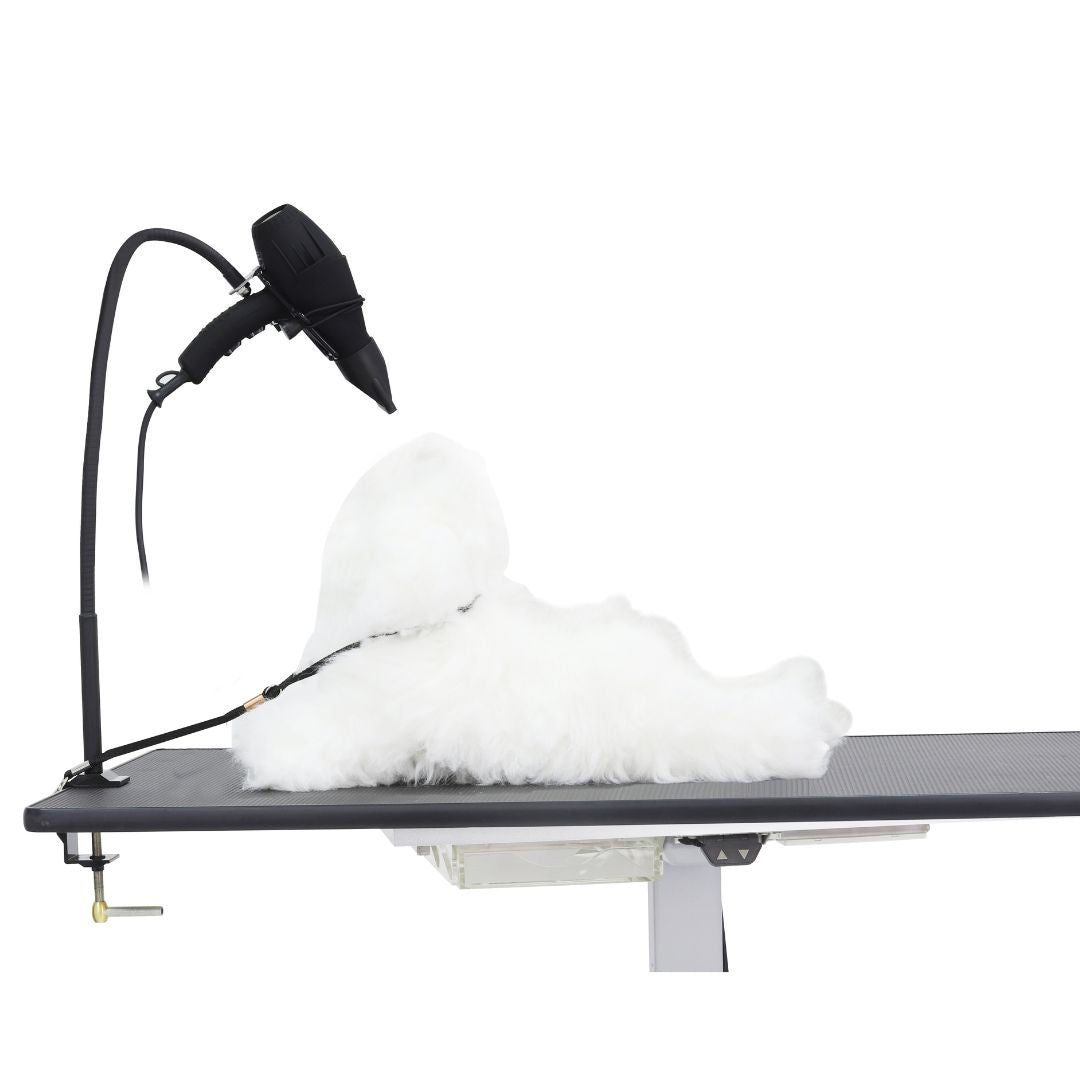 Aeolus Multi-Functional Grooming Arm for Dryer Hose & Handheld Dryer