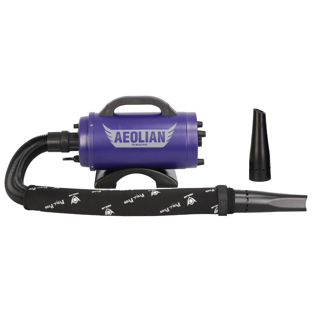 Aeolian Blaster Pro Ametek Single Motor Dryer (Blue)