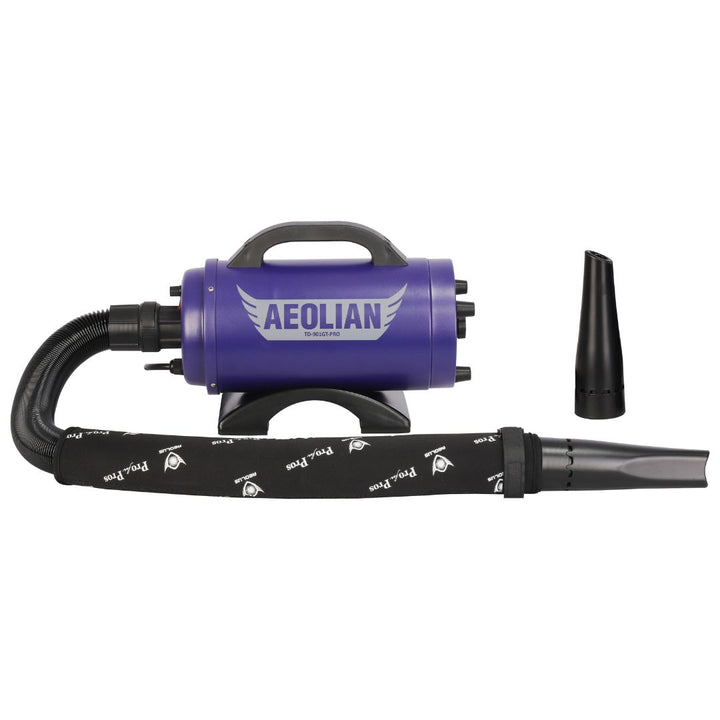 Aeolian Blaster Pro Ametek Single Motor Dryer (Blue)
