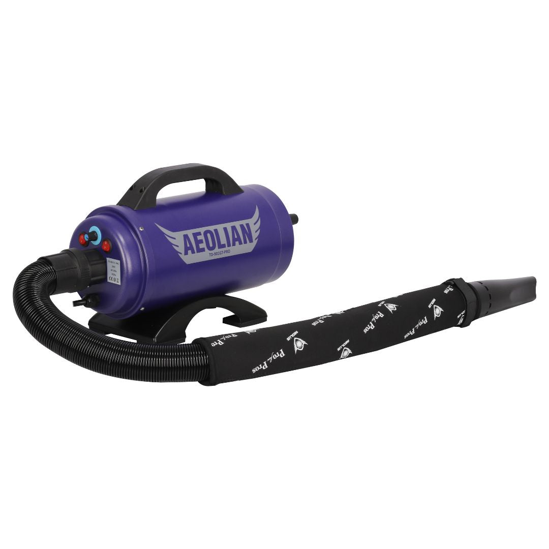 Aeolian Blaster Pro Ametek Single Motor Dryer (Blue)