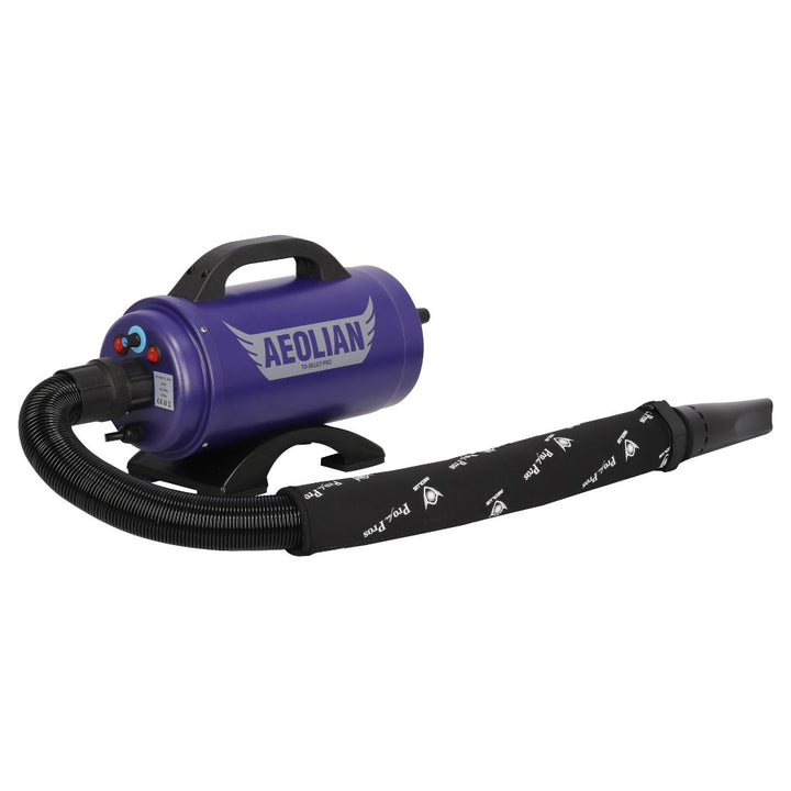 Aeolian Blaster Pro Ametek Single Motor Dryer (Blue)