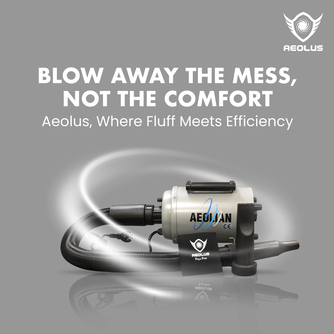 heated pet dryer, pet dryer with heater, pet grooming, dog drying, cat drying, pet hair dryer, force dryer, pet blower, pet drying tool, high velocity pet dryer, warm air pet drying, adjustable heat settings, variable speed control, efficient pet care, fast drying, home pet grooming, professional pet salons, portable pet dryer, powerful pet dryer, reliable pet drying tool, durable pet drying solution