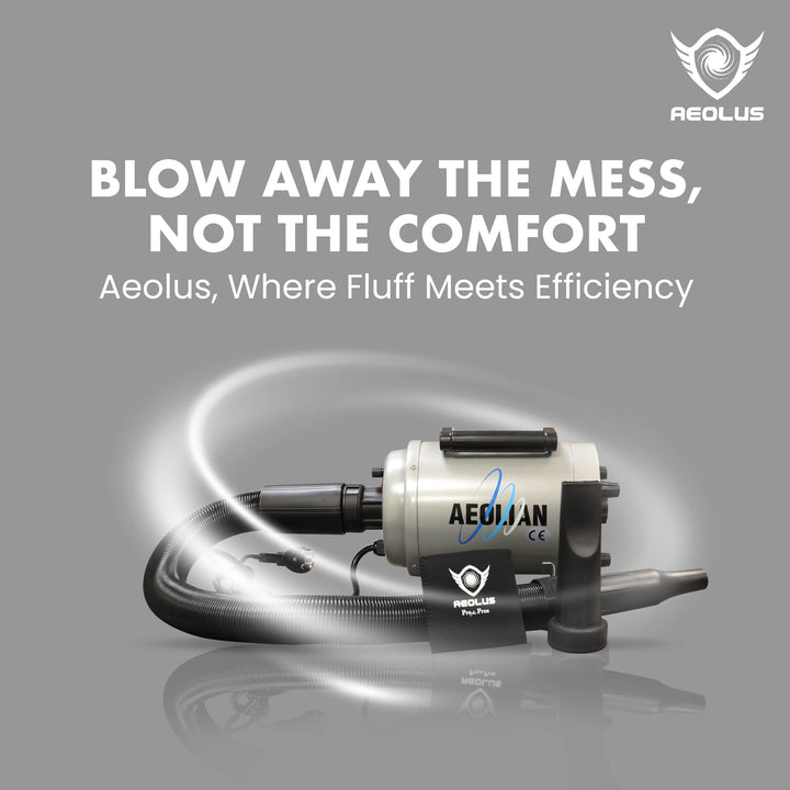 heated pet dryer, pet dryer with heater, pet grooming, dog drying, cat drying, pet hair dryer, force dryer, pet blower, pet drying tool, high velocity pet dryer, warm air pet drying, adjustable heat settings, variable speed control, efficient pet care, fast drying, home pet grooming, professional pet salons, portable pet dryer, powerful pet dryer, reliable pet drying tool, durable pet drying solution