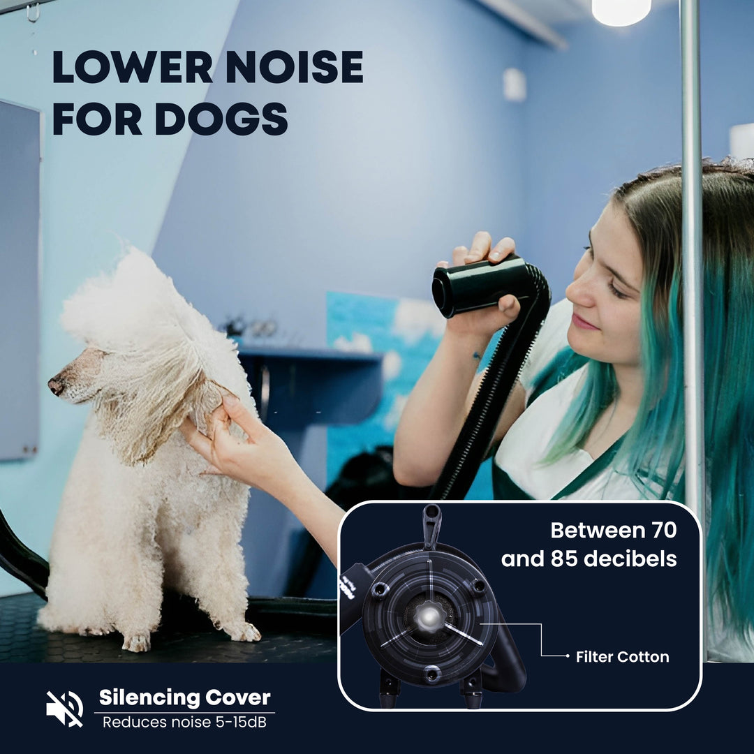 pet dryer with heater, pet grooming, dog drying, cat drying, pet hair dryer, force dryer, pet blower, pet drying tool, high velocity pet dryer, warm air pet drying, adjustable heat settings, variable speed control, efficient pet care, fast drying, home pet grooming, professional pet salons, portable pet dryer, powerful pet dryer, reliable pet drying tool, durable pet drying solution,