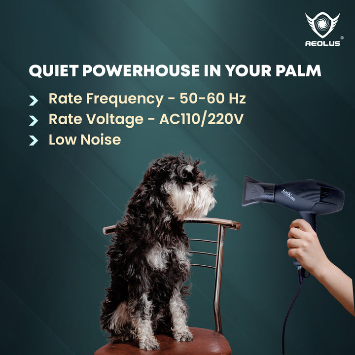 pet grooming reviews, pet dryer comparison, pet grooming comparison, pet dryer deals, pet grooming deals, pet dryer for sale, pet grooming for sale, pet dryer online, pet grooming online, pet dryer shop, pet grooming shop, pet dryer brand, pet grooming brand, pet dryer model, pet grooming model, pet dryer guide, pet grooming guide, pet dryer tips, pet grooming tips