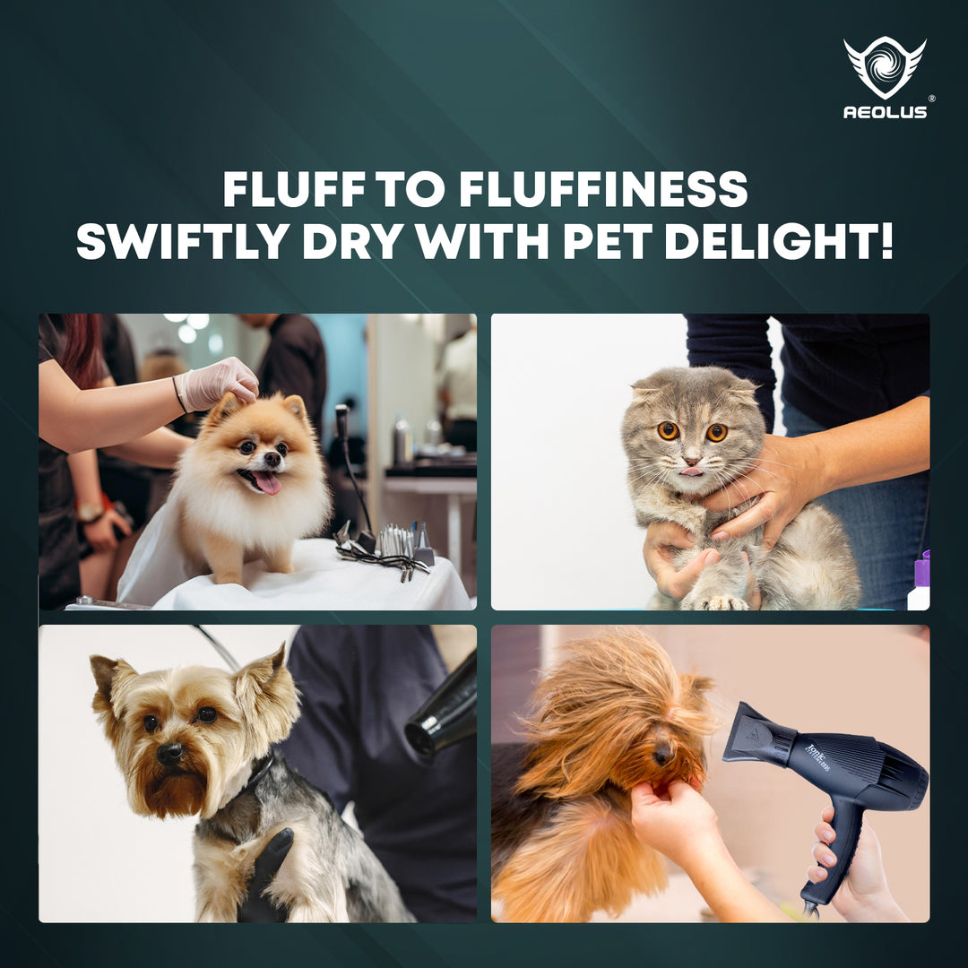 pet dryer for small dogs, pet dryer for large dogs, pet dryer for thick coats, pet dryer for short coats, pet dryer for double coats, pet dryer for sensitive pets, pet dryer with adjustable speed, pet dryer with adjustable temperature, pet dryer with multiple nozzles, pet dryer with stand, pet dryer with wheels, pet dryer with hose, pet dryer with filter, pet dryer with low noise, pet dryer with safety features, best pet dryer, top rated pet dryer, affordable pet dryer, durable pet dryer