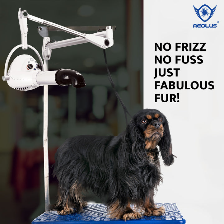 Aeolus Compact Wall-mount Pet Hair Dryer (White)