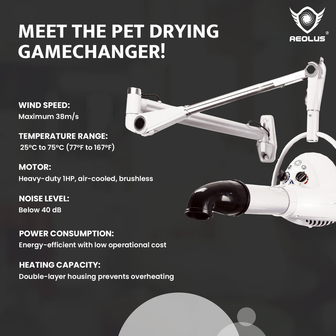 Aeolus Compact Wall-mount Pet Hair Dryer (White)