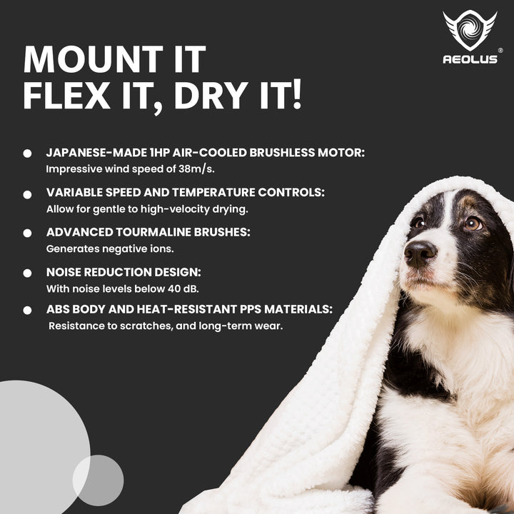 Aeolus Compact Wall-mount Pet Hair Dryer (White)