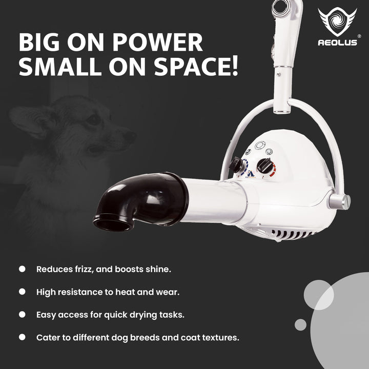Aeolus Compact Wall-mount Pet Hair Dryer (White)