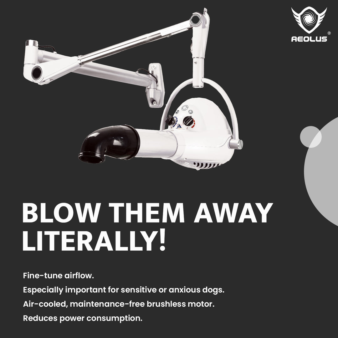 Aeolus Compact Wall-mount Pet Hair Dryer (White)