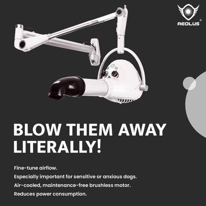 Aeolus Compact Wall-mount Pet Hair Dryer (White)