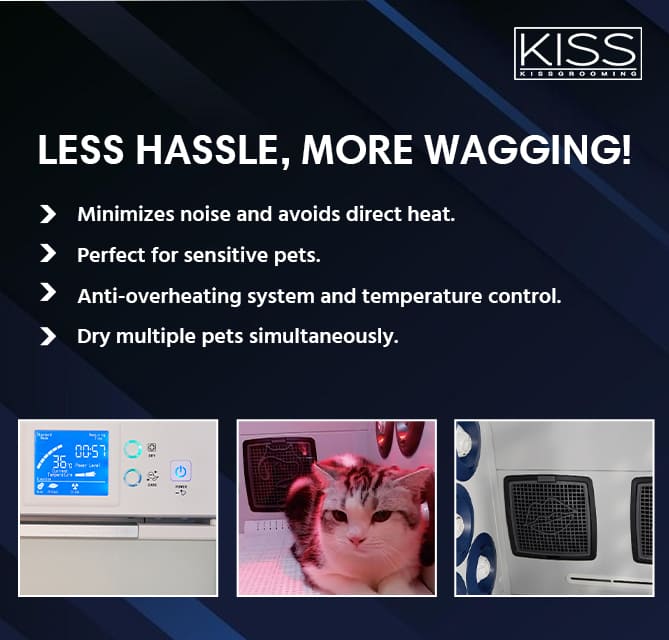 pet grooming dryer with noise reduction, pet grooming dryer with energy-saving features, pet grooming dryer for small dogs, pet grooming dryer for large dogs, pet grooming dryer for puppies, pet grooming dryer for seniors, pet grooming dryer for cats, pet grooming dryer for long-haired breeds, pet grooming dryer for short-haired breeds, pet grooming dryer for curly-haired breeds