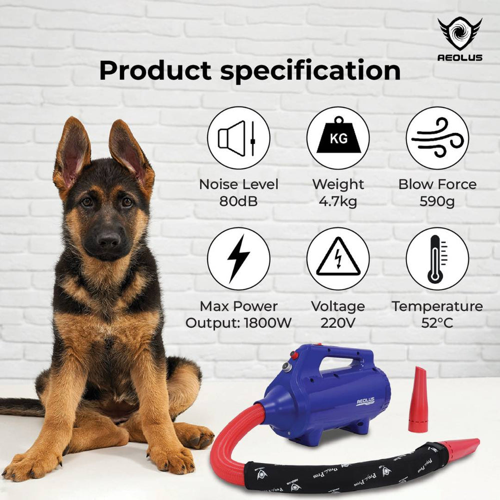 pet grooming dryer with noise reduction, pet grooming dryer with energy-saving features, pet grooming dryer for small dogs, pet grooming dryer for large dogs, pet grooming dryer for puppies, pet grooming dryer for seniors, pet grooming dryer for cats, pet grooming dryer for long-haired breeds, pet grooming dryer for short-haired breeds, pet grooming dryer for curly-haired breeds