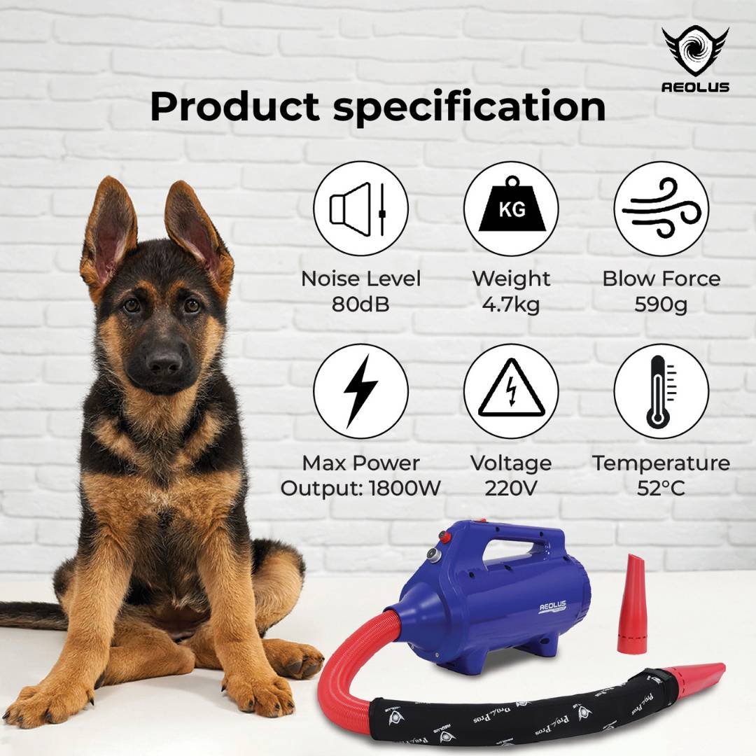 pet grooming dryer with noise reduction, pet grooming dryer with energy-saving features, pet grooming dryer for small dogs, pet grooming dryer for large dogs, pet grooming dryer for puppies, pet grooming dryer for seniors, pet grooming dryer for cats, pet grooming dryer for long-haired breeds, pet grooming dryer for short-haired breeds, pet grooming dryer for curly-haired breeds