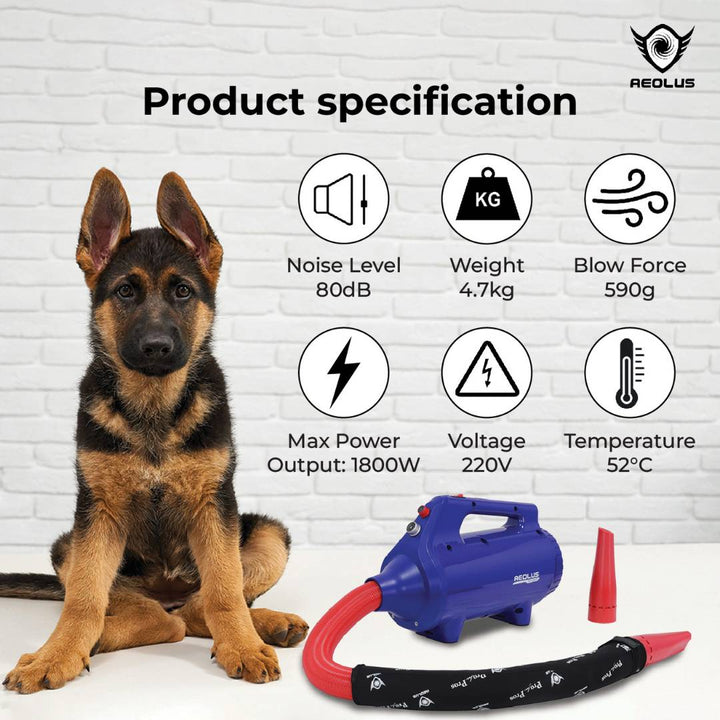 pet grooming dryer with noise reduction, pet grooming dryer with energy-saving features, pet grooming dryer for small dogs, pet grooming dryer for large dogs, pet grooming dryer for puppies, pet grooming dryer for seniors, pet grooming dryer for cats, pet grooming dryer for long-haired breeds, pet grooming dryer for short-haired breeds, pet grooming dryer for curly-haired breeds