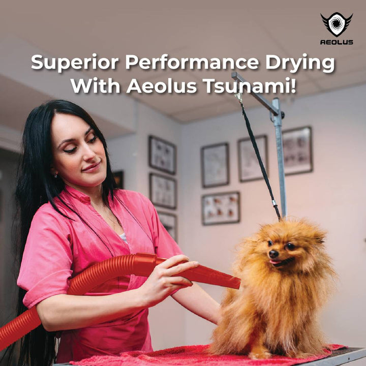 professional pet grooming dryer, high-velocity pet grooming dryer, forced air pet grooming dryer, dog grooming dryer, cat grooming dryer, all-in-one pet grooming dryer, portable pet grooming dryer, quiet pet grooming dryer, powerful pet grooming dryer, fast pet grooming dryer, efficient pet grooming dryer, adjustable pet grooming dryer, versatile pet grooming dryer, safe pet grooming dryer