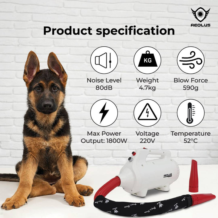 force dryer for pets, stand dryer for pets, wall-mounted pet dryer, infrared pet dryer, cabinet pet dryer, high-velocity dryer for pets, high-velocity force dryer for pets, stand dryer with hose for pets, wall-mounted dryer with arm for pets, infrared drying cabinet for pets, cabinet dryer for shedding pets, high-velocity dryer for matted coats, force dryer for professional groomers, stand dryer for home use